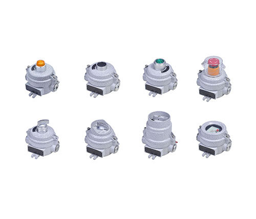 CH0807 防爆控制器(隔爆型)